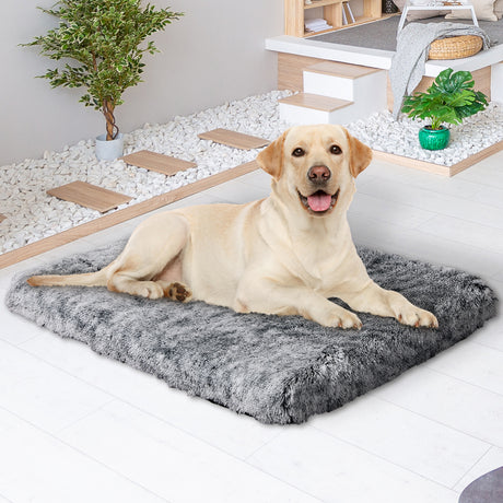 PaWz Dog Mat Pet Calming Bed Memory L Charcoal Large-2018816707921055751