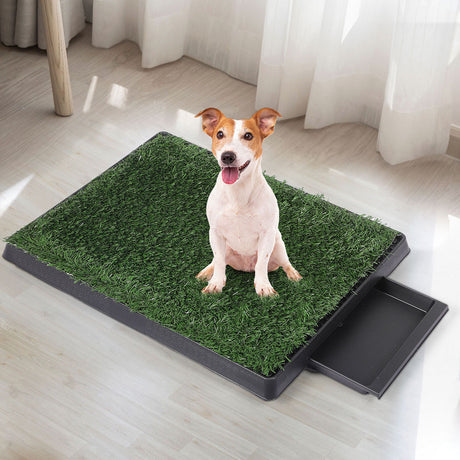 PaWz Indoor Dog Pet Grass Potty Training-2006732965022928903