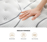 Bedra Double Mattress Bonnell Spring Tight Top 21CM