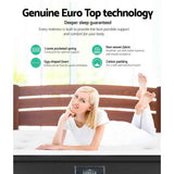 Giselle Bedding 34cm Mattress Euro Top Queen - Top-Down View