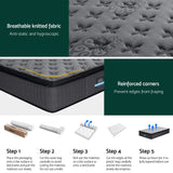 Aster hybrid 22cms thickness euro top matttress-queen - Rear View