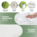20cm Giselle Mattress Double Green Tea Mattresses - 45-Degree Angle