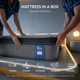 Levitex king Mattress 33 cm 7-Zone Pocket Spring 8.0 Extra Firm with Dual-Row Edge Support & Breathable Knit Cover - Extra Image