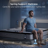 Levitex Double Mattress 34 cm 5-Zone Pocket Spring with Latex & Memory Foam or Extra Lumbar & Shoulder Support - 45-Degree Angle