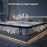 Levitex Queen Mattress 34 cm 5-Zone Pocket Spring with Latex & Memory Foam or Extra Lumbar & Shoulder Support - Extra Image
