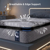 Levitex Single Mattress 34 cm 5-Zone Pocket Spring with Latex & Memory Foam or Extra Lumbar & Shoulder Support - Extra Image