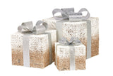 Christabelle 3 Piece Christmas Present Display Set with Lights - Champagne Finish