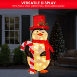 Christmas Penguin Display with Lights Indoor/Outdoor 80cm - Rear View