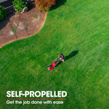 BAUMR-AG 21' 248cc Self-Propelled Push Button Electric Start 4in1 Lawnmower - 890SXe - 45-Degree Angle