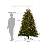 National Tree Company 2.3m Dunhill Shimmer Fir Pre-Lit Christmas Tree