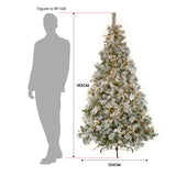 National Tree Company 1.8m Frosted Colonial Prelit Christmas Tree - Top-Down View