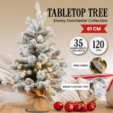 National Tree Company 61cm Snowy Dorchester Tabletop Prelit Christmas Tree