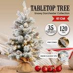National Tree Company 61cm Snowy Dorchester Tabletop Prelit Christmas Tree