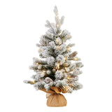 National Tree Company 61cm Snowy Dorchester Tabletop Prelit Christmas Tree