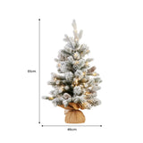 National Tree Company 61cm Snowy Dorchester Tabletop Prelit Christmas Tree