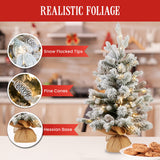 National Tree Company 61cm Snowy Dorchester Tabletop Prelit Christmas Tree