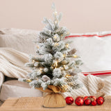 National Tree Company 61cm Snowy Dorchester Tabletop Prelit Christmas Tree