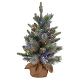 National Tree Company 61cm Pre-Lit Snowy Stamford Spruce Battery-Operated Mini Christmas Tree M - Top-Down View