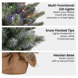 National Tree Company 61cm Pre-Lit Snowy Stamford Spruce Battery-Operated Mini Christmas Tree M