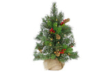 2ft Christmas Tree with Lights- Potted Wintry Pine