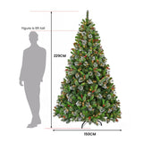 Christabelle 7.5ft Christmas Tree with Twinkle Lights - Wintry Pine - Top-Down View