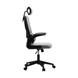 Oikiture Mesh Office Chair Adjustable Lumbar Support D-Shape BK&GY - Side View