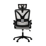 Oikiture Mesh Office Chair Adjustable Lumbar Support D-Shape BK&GY