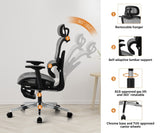 Oikiture Ergonomic Office Chair Mesh Executive Seat BK&GY - Low Angle