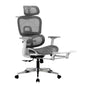 Oikiture Ergonomic Office Chair Mesh Executive Seat WH&GY