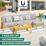 Livsip Outdoor Sofa Set Lounge Patio Set 6 Piece - Rear View