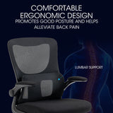 FORTIA Ergonomic Office Desk Chair, Lumbar Support, Mesh Fabric, Retractable Armrests, Black