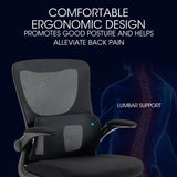 FORTIA Ergonomic Office Desk Chair, Lumbar Support, Mesh Fabric, Retractable Armrests, Black - Low Angle