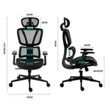 Fortia Ergonomic Office Desk Chair, Coolmesh Fabric, Adjustable Lumbar Support, Headrest, Armrest and Recline, Black Mesh/Black Frame - Rear View