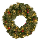 61cm Bristle Berry Christmas Wreath with Multi Functions Lights - Front View