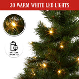Christabelle 61cm Wintergreen Tabletop Pre-Lit Christmas Tree