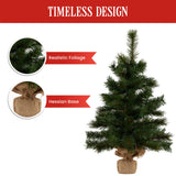 Christabelle 61cm Wintergreen Tabletop Pre-Lit Christmas Tree - Close-Up Angle