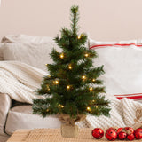 Christabelle 61cm Wintergreen Tabletop Pre-Lit Christmas Tree