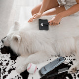 Stella Cordless Pet Grooming Kit - Close-Up Angle