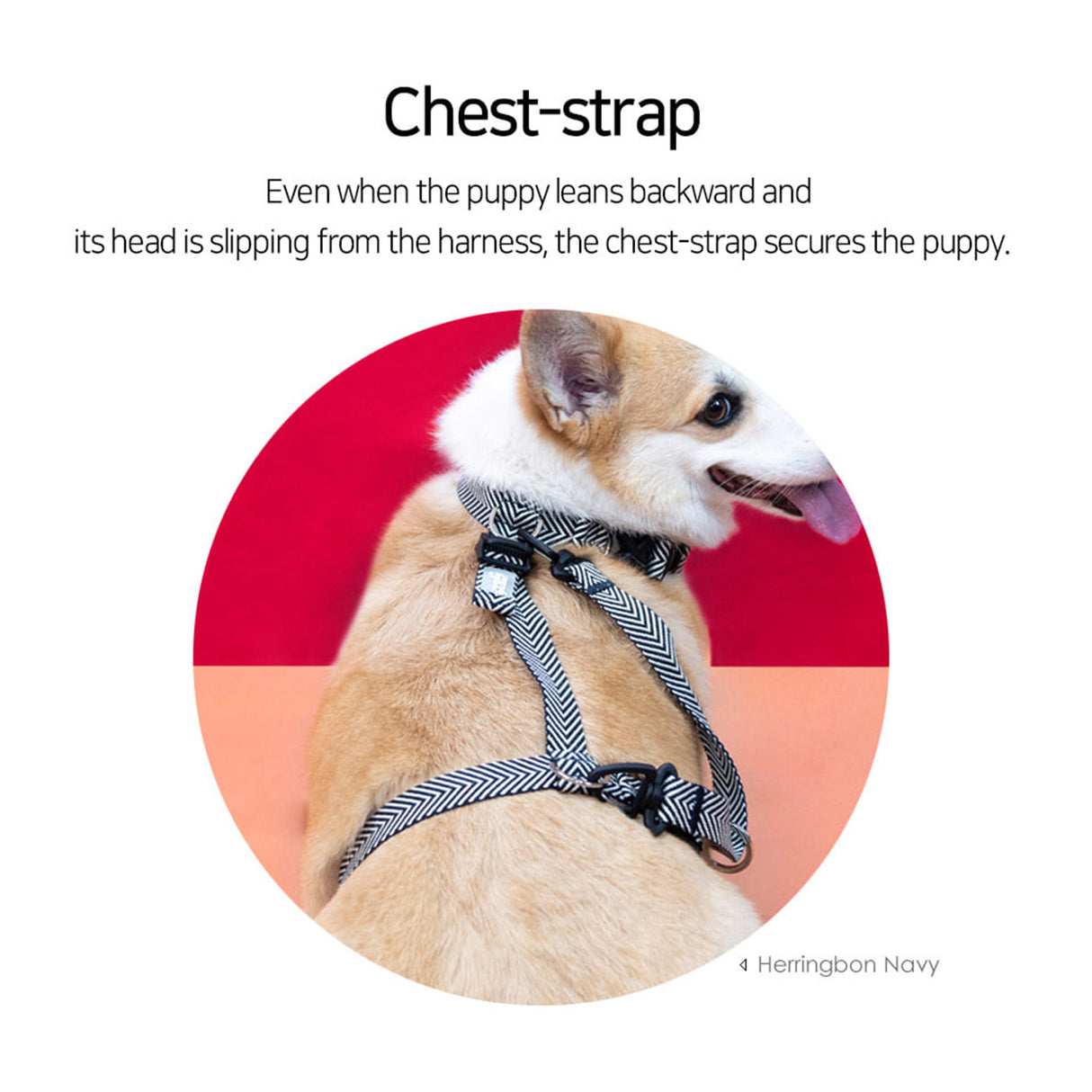 Double-Lined Straps Harness L - NEON CAROL-PINK