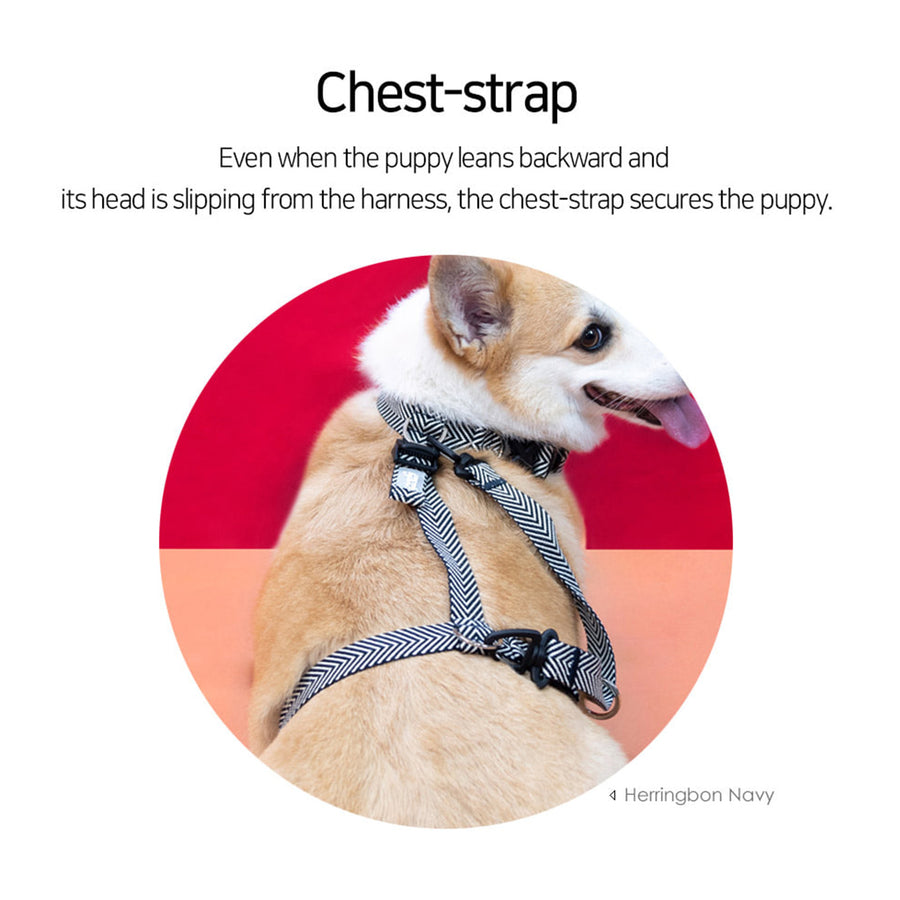 Double-Lined Straps Harness L - SWEET GREEN