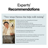 Double-Lined Straps Harness M - SWEET GREEN - Extra Image