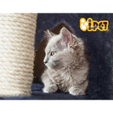 i.Pet Cat Tree 244cm Tower Scratching Post Scratcher Trees Condo House Grey - Rear View