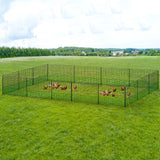 i.Pet Chicken Fence Electric 50Mx125CM Poultry Netting - Low Angle