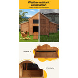 i.Pet Chicken Coop Rabbit Hutch 150cm x 68cm x 96cm Large Chicken Coop House Run Cage Wooden - Rear View