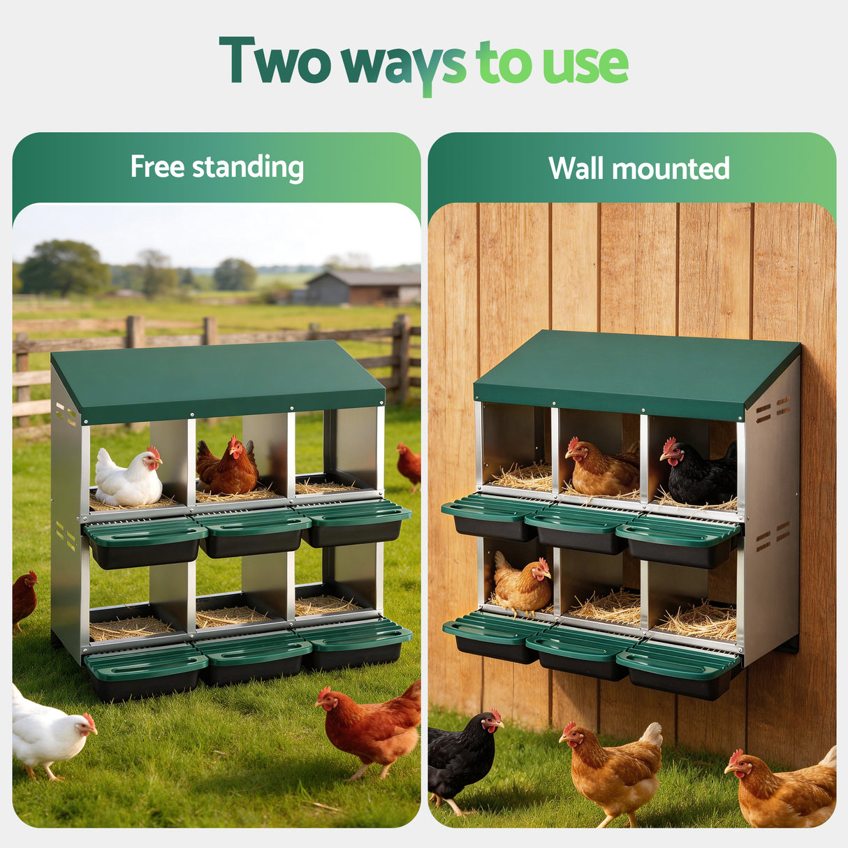 i.Pet Chicken Nesting Box Roll Away Metal Nesting Box Wall Mounted 6 Holes Green