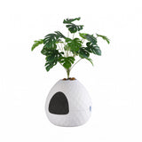i.Pet Cat Litter Box Hidden Litter Tray Enclosure Planter Furniture House White - Front View
