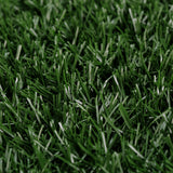 69cm x 43cm Pet Potty Tray With 1 Grass Mat - Side View