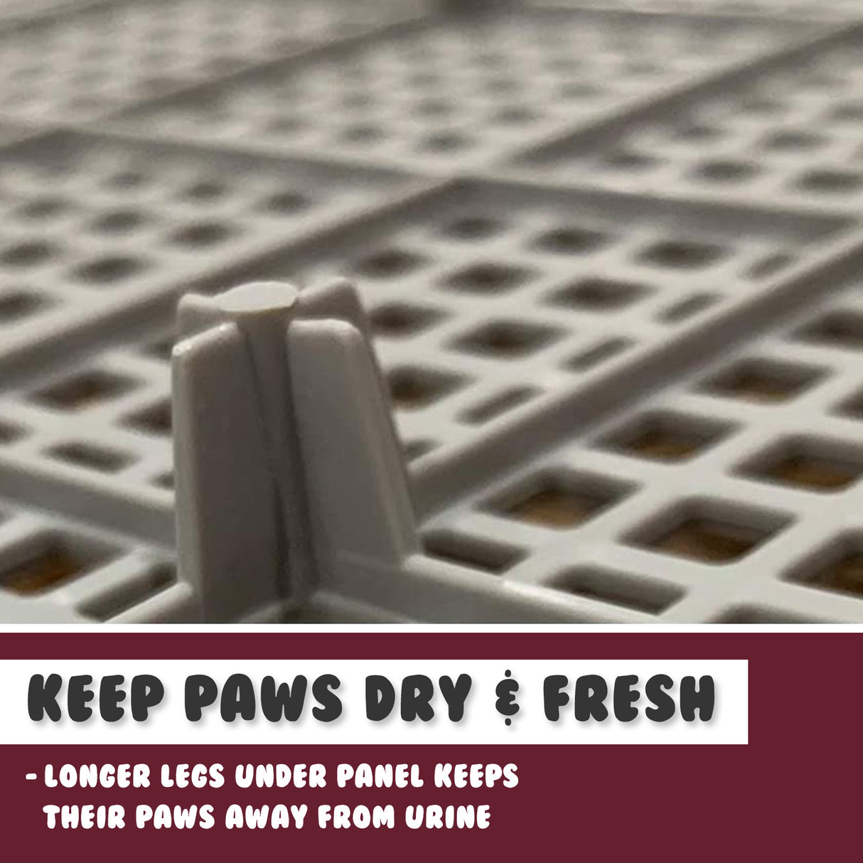 Pet Potty Tray Raised Walls T1 - RED WINE