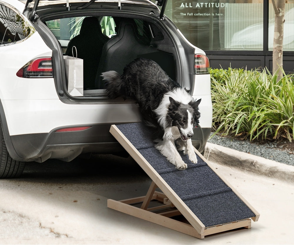 Alopet Dog Pet Ramp Adjustable Height Foldable 70cm