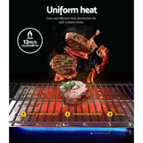 Grillz Portable Gas BBQ Grill with Double Sided Plate - Top-Down View